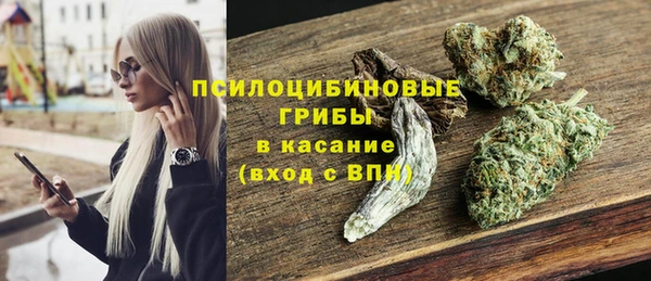 молекула духа Балахна