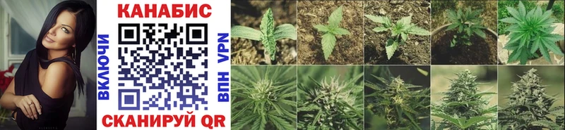 купить наркотик  Заозёрный  МАРИХУАНА Bruce Banner 